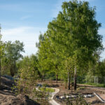Baufeld Mai 2025