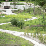 Weidenbaums Ufer Baufeld September 2025